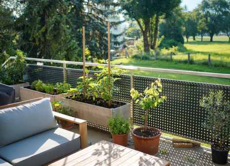 A balcony with potted plants, wooden table, and seating, overlooking a green field and trees.